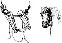 bridles