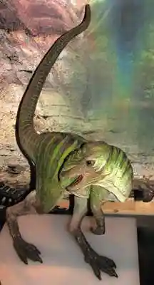 Dinosaurs