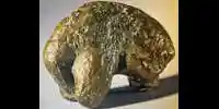 young mammoth