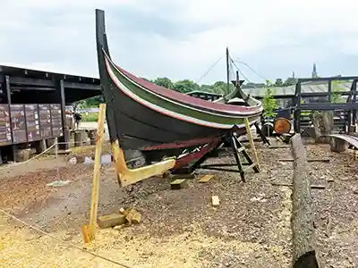 Viking ships