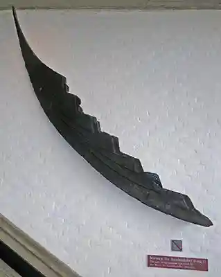 Viking ships