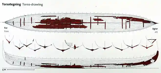 Viking ships