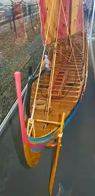 Viking ships