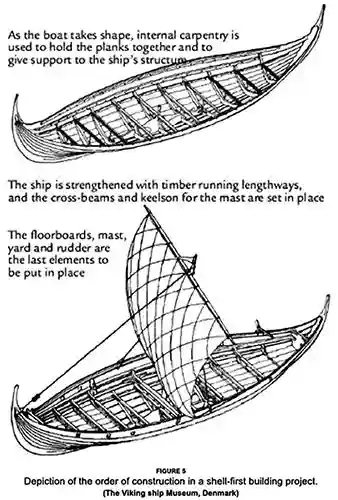 Viking ships