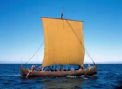 Viking ships