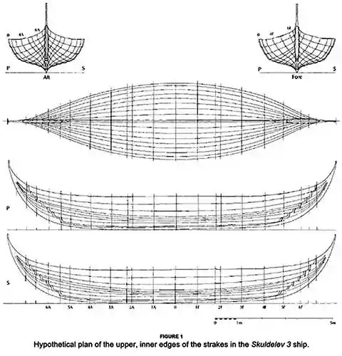 Viking ships