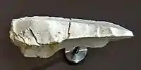 Peyrugue tools