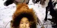modern reindeer people
