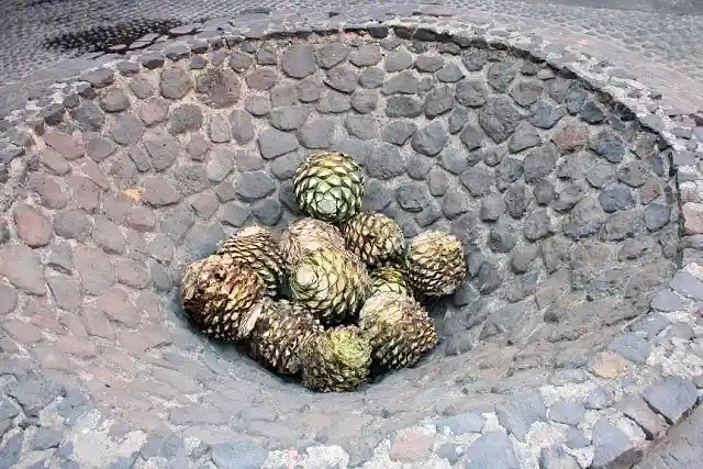 Original ground pit at Tequila Museum