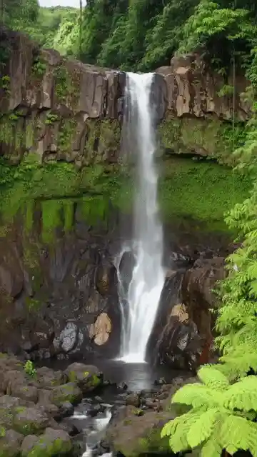 A majestic Hawaiian waterfall in a lush rainforest.