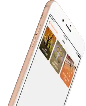 An iPhone displaying Powerwords in PowerSpeech.