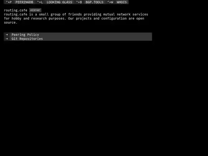 The website screenshot for https://routing.cafe
