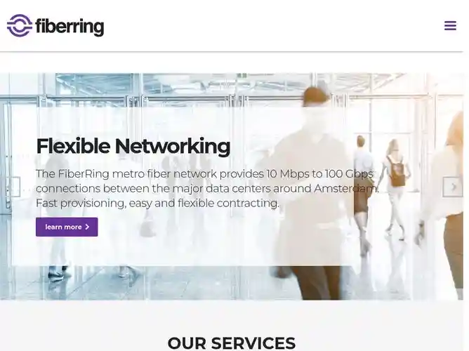 The website screenshot for http://www.fiberring.com