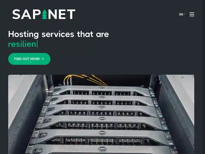 The website screenshot for https://sapi.net