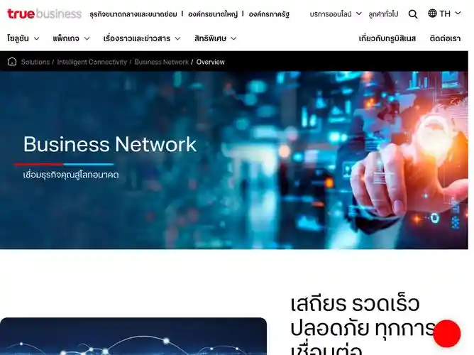 The website screenshot for http://www.trueinternet.co.th