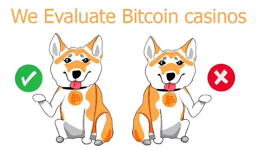 We evaluate and find the best Bitcoin casinos