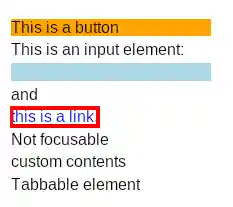 Figure 6: Example of a customized focus outline.