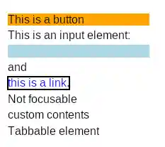 Figure 5: Example of focus outline.
