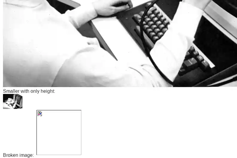 Figure 4: Rendering of an example with images after scrolling to a broken image icon.