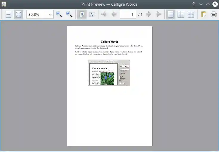 Print Preview dialog shows all pages
