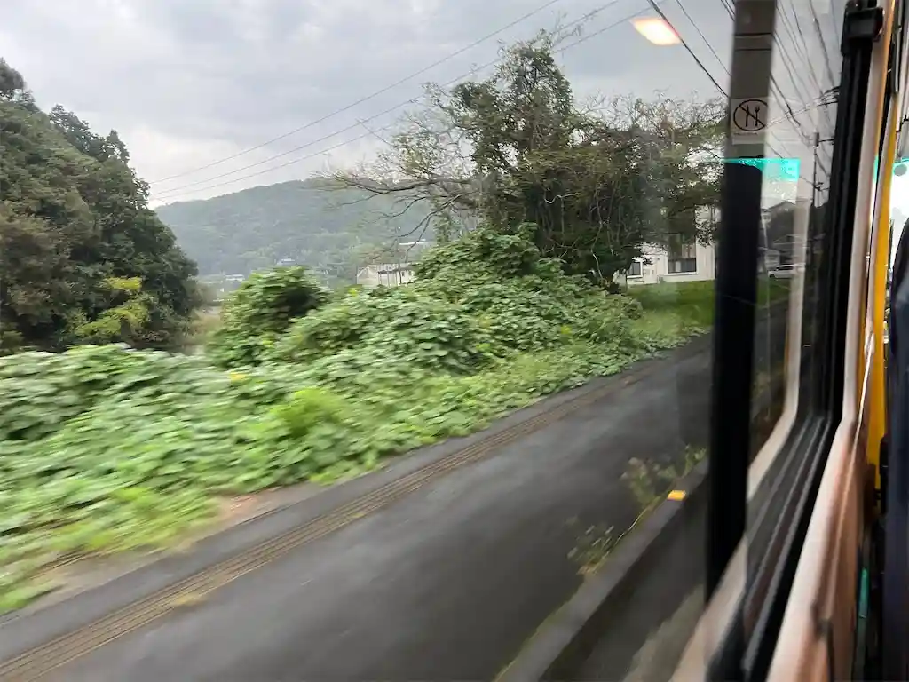バスの車窓から見える植物、小さな建物
