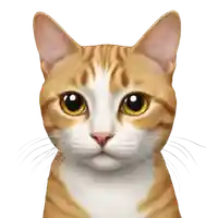 Linni's profile picture