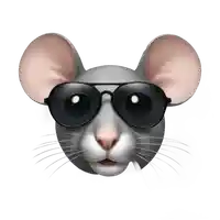 Sam Jain's profile picture