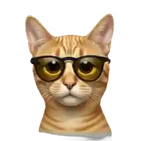 will skinner's profile picture