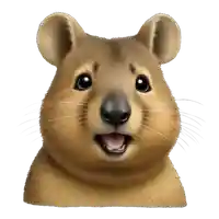 Shirley's profile picture