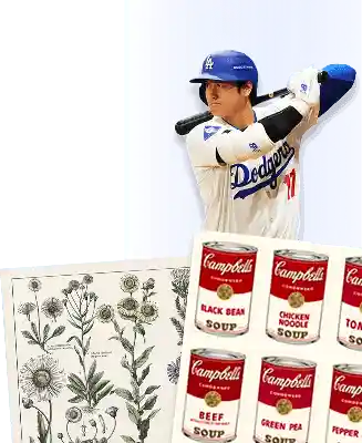 shohei ohtani, plants, andy wharhol art