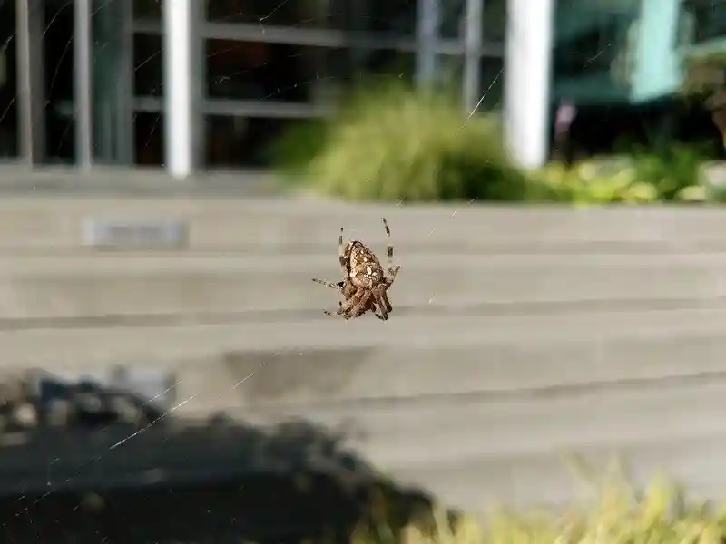 Google Pixel 2 photo sample