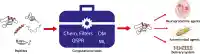 Graphical Abstract