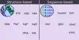 Figure 5