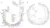 Extended Data Figure 3|