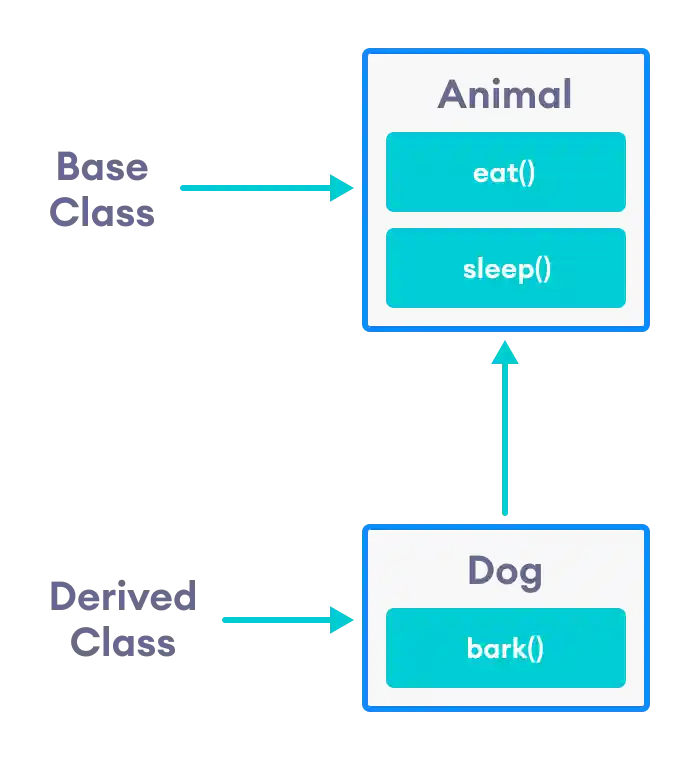 Dog class inherits from the Animal class