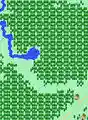Laura's Forest.