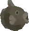 The Kine statue