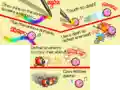 Tutorials on the top screen of the stage selection