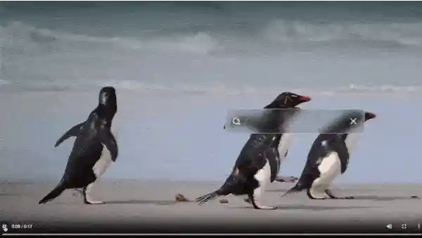 GIF showing AI object detection tagging penguins on a beach, cars in traffic, and dancing people.
