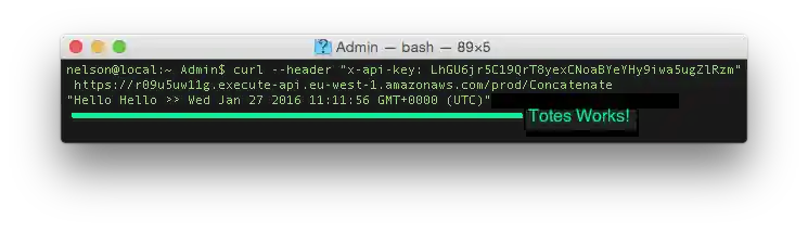 aws-lambda-curl-with-api-key-works