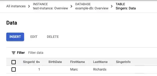 The updated Singers table data with one row.