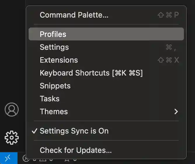 Profiles editor via the Manage button in the Activity bar