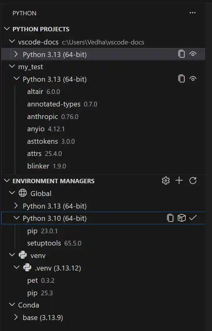 Screenshot showing the Python Projects view with two projects listed, each assigned a Python environment, and the Environment Managers section below with available interpreters and installed packages.