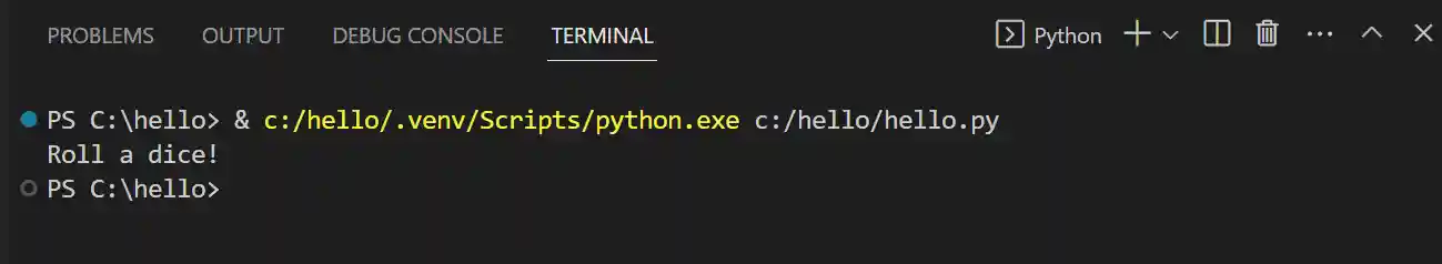 Program output in a Python terminal