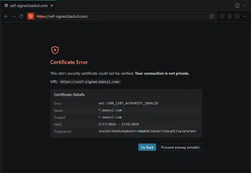 Screenshot of the integrated browser displaying a certificate error with options to go back or proceed.