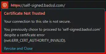 Screenshot of a popup in the URL bar showing the current page is not secure, with an option to "Revoke and Close".
