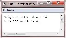 java left shift operator