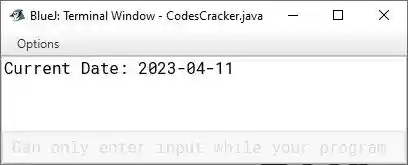 java print current date example