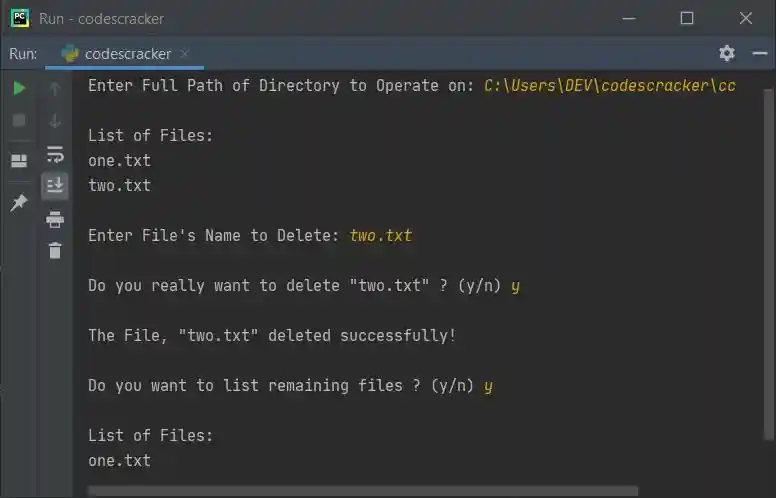 python file delete program