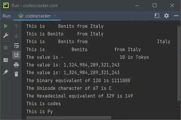 python format function program